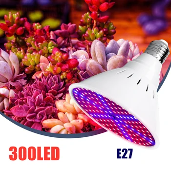  126LED 200LED 300LED растителна лампа за растеж пълен спектър вътрешна запълваща светлина чаша 2835 чип E27 AC85-265V предотвратяване на нездравословен растеж