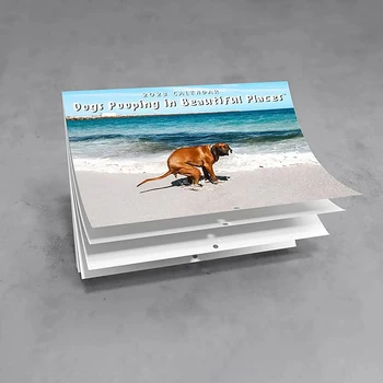 Смешни Куче Акане Стенен календар 2024 Уникален календар Подарък за приятели Семейство Съседи Колеги Роднини Близки